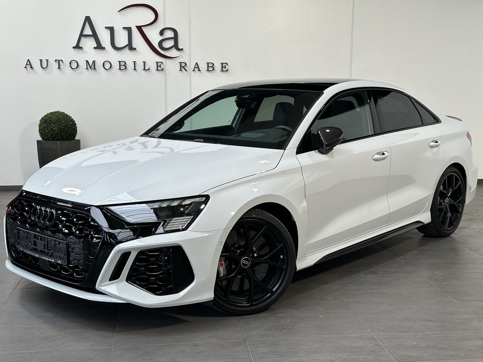 Audi RS3 2.5 TFSI Qu / 294 kW